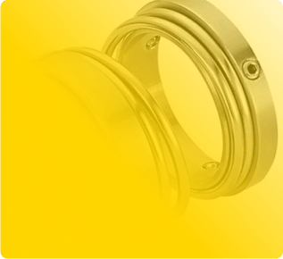 Mechanical Seals